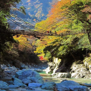 Beethoven in Japan